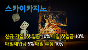 스카이카지노사이트