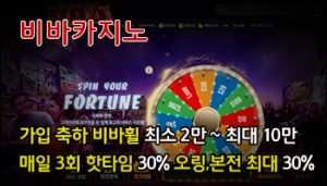 로얄계열 비바카지노