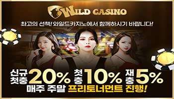와일드카지노