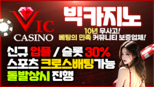 빅카지노